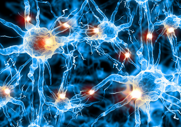 癫痫正规的医院